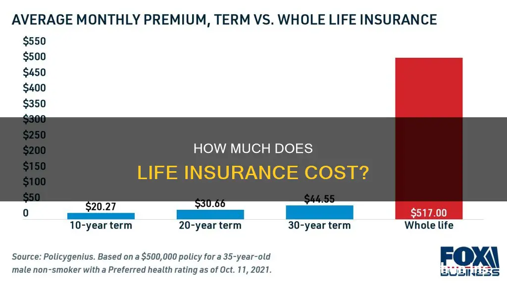 what is the payment for life insurance