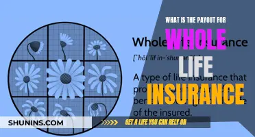 Understanding Whole Life Insurance Payouts: A Comprehensive Guide