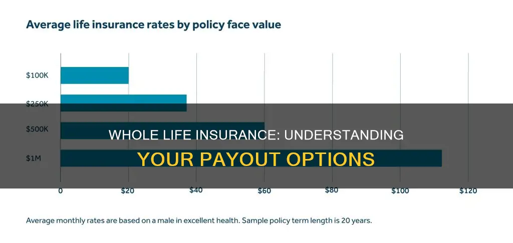 what is the payout for whole life insurance