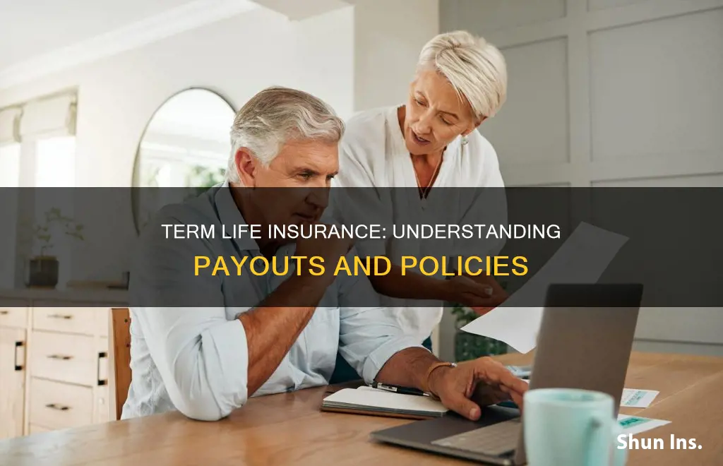 what is the payout on term life insurance