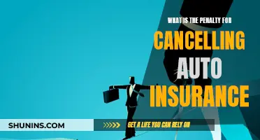 Auto Insurance Cancellation: Understanding the Risky Consequences