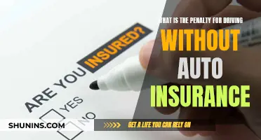 Understanding Penalties for Driving Without Auto Insurance