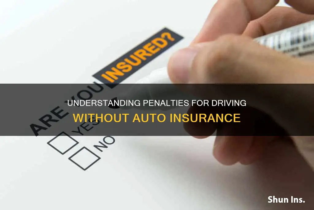 what is the penalty for driving without auto insurance