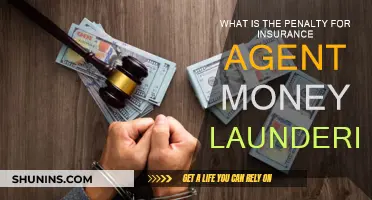 Insurance Agent Money Laundering: Penalties and Punishments
