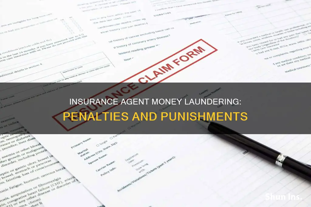 what is the penalty for insurance agent money laundering