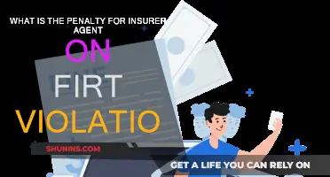 Penalties for Insurer Agents: First Violation Consequences