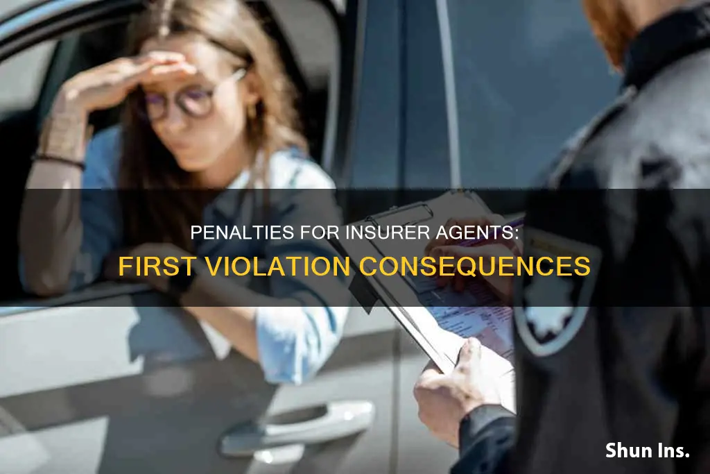 what is the penalty for insurer agent on firt violation