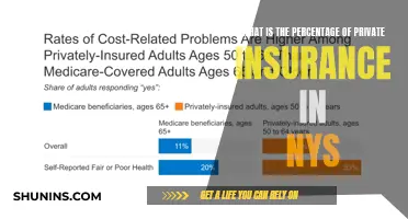 Understanding Private Insurance's Reach in New York State