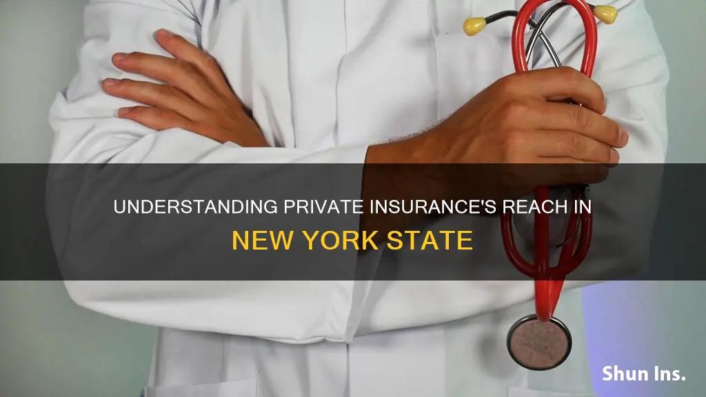 what is the percentage of private insurance in nys