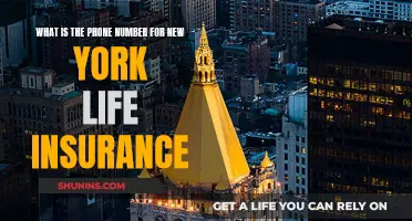 Contact New York Life: Find the Right Phone Number for You