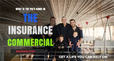 The Curious Case of the Pig's Name in Insurance Ads