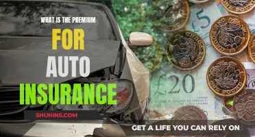 Understanding Auto Insurance Premiums: Cost and Coverage