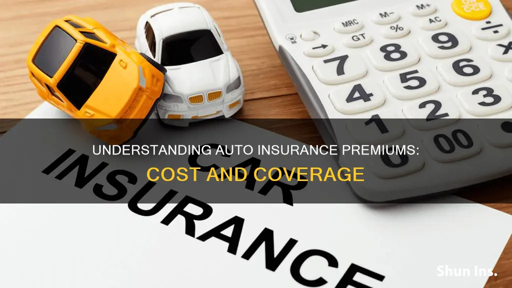 what is the premium for auto insurance