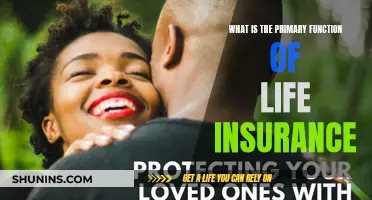 Understanding Life Insurance: Protecting Your Loved Ones' Future