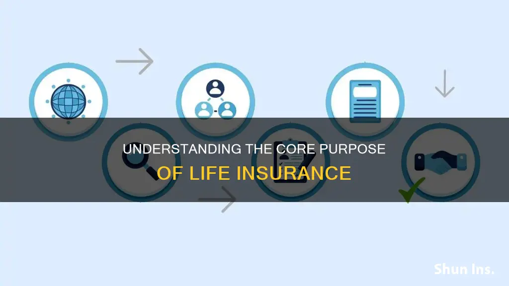 what is the primary function of life insurance