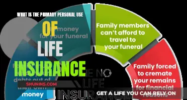 Protecting Your Loved Ones: The Heart of Life Insurance