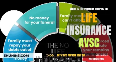 Understanding Life Insurance AVSC: Protecting Your Future