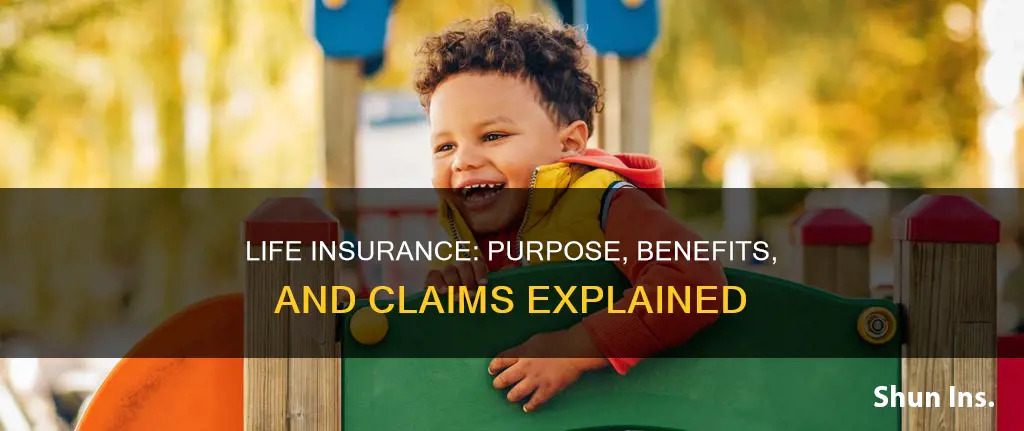 what is the primary purpose of life insurance avsc
