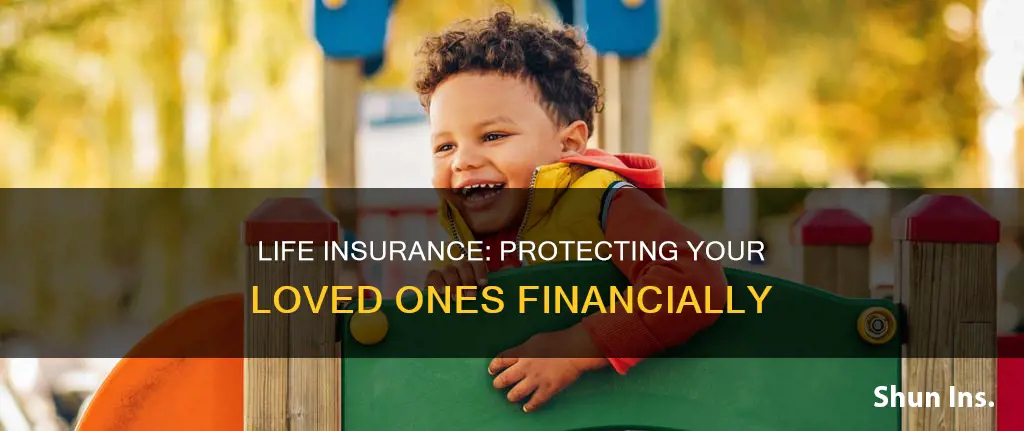 what is the primary purpose of life insurance moneyskill