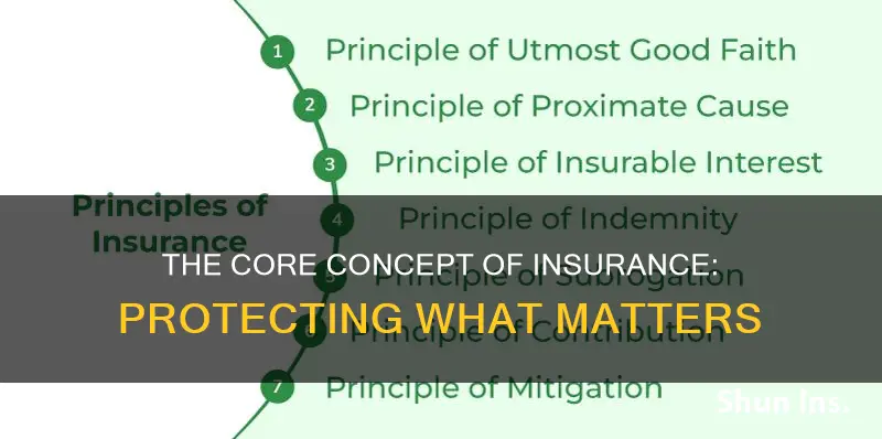 what is the principle of insurance in simple terms