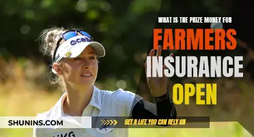 **Lucrative Rewards at the Farmers Insurance Open: Unveiling the Prize Money** 