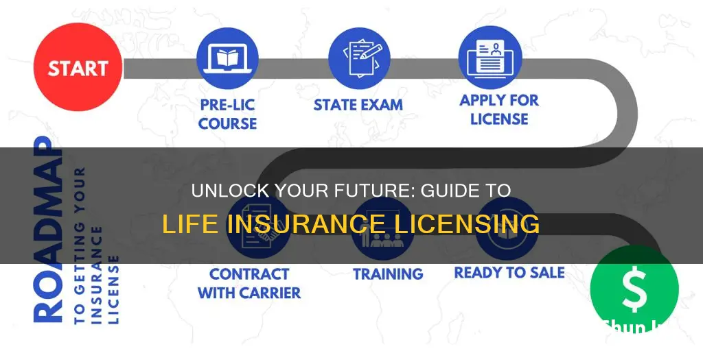 what is the process for obtaining my life insurance license