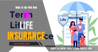 Understanding Pure Risk: The Foundation of Life Insurance