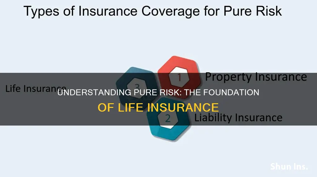 what is the pure risk in life insurance