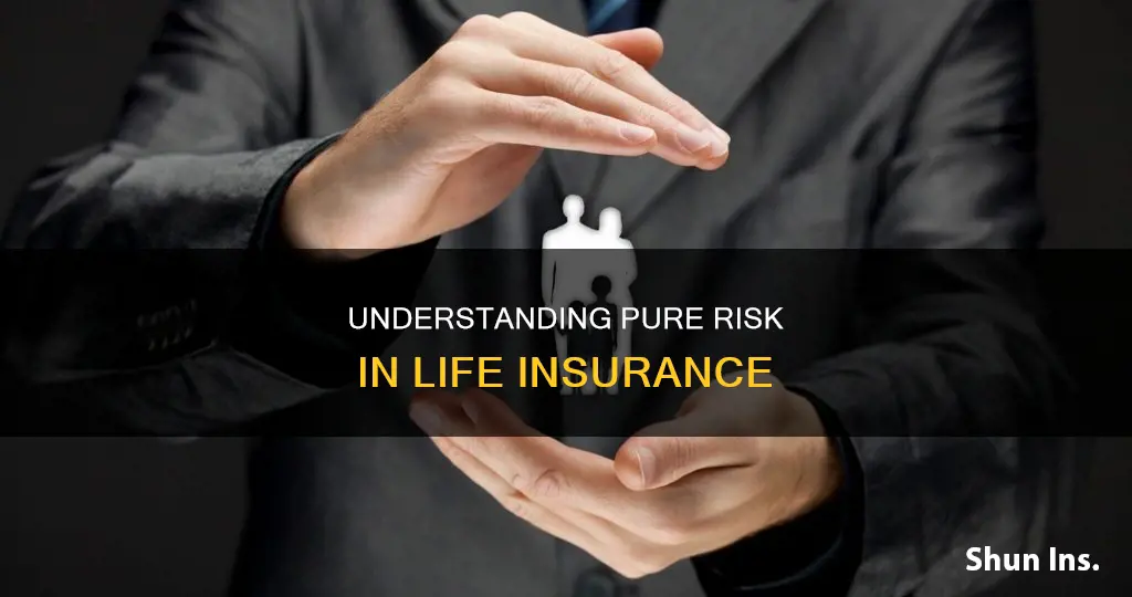 what is the pure risk in life insurance