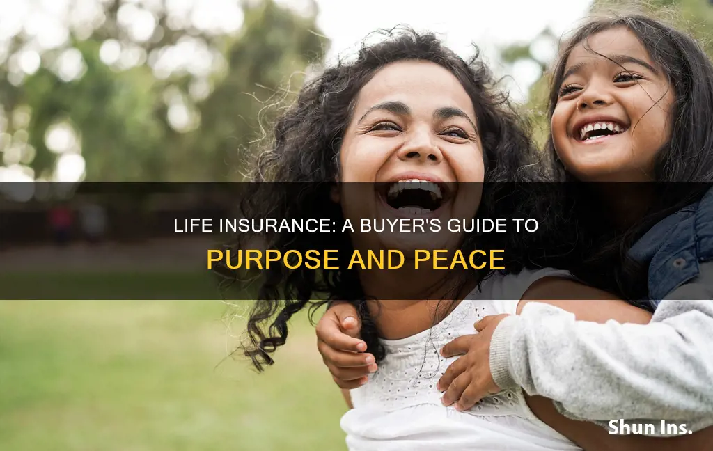 Life Insurance: A Buyer's Guide To Purpose And Peace | ShunIns