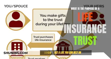 Secure Your Legacy: The Power of Life Insurance Trusts