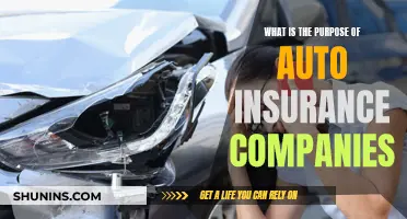 Auto Insurance Companies: Protecting Drivers and Their Wallets