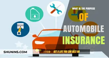 Understanding the Essential Purpose of Automobile Insurance for Drivers