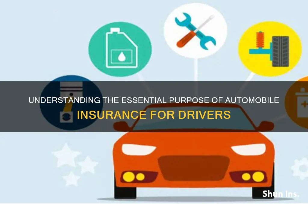 what is the purpose of automobile insurance