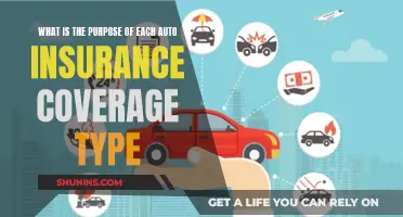 Understanding Auto Insurance: Coverage Types and Their Purposes