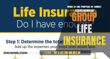 Understanding Family Servicemembers Group Life Insurance Benefits