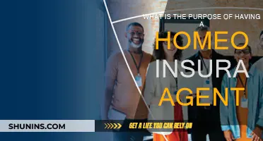 Why You Need a Homeowner Insurance Agent