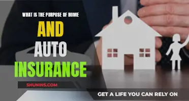 Understanding Home and Auto Insurance: Why It's Necessary