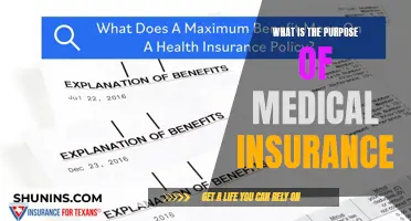Medical Insurance: Protecting Your Health and Wealth