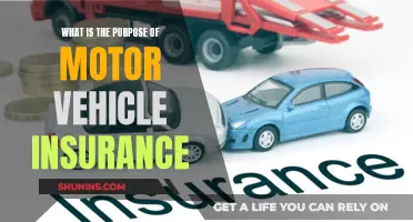 Motor Vehicle Insurance: Protection and Peace of Mind