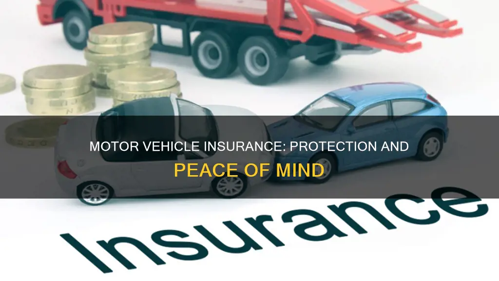 what is the purpose of motor vehicle insurance