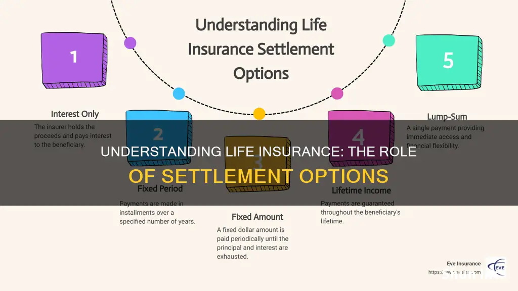 what is the purpose of settlement options in life insurance