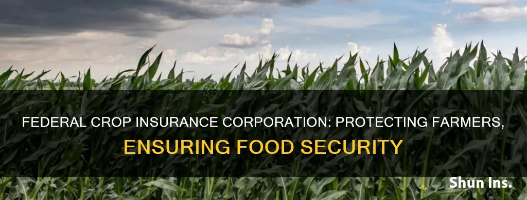 what is the purpose of the federal crop insurance corporation