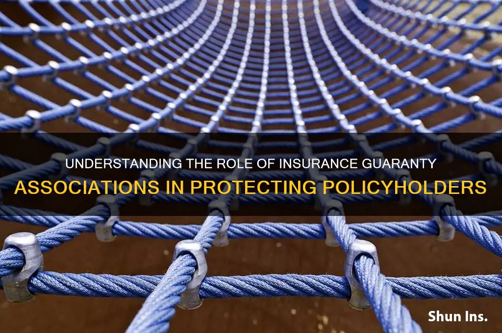 what is the purpose of the insurance guaranty association