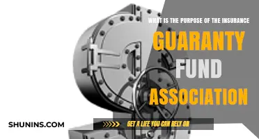 Understanding the Role of Insurance Guaranty Fund Associations in Protecting Policyholders
