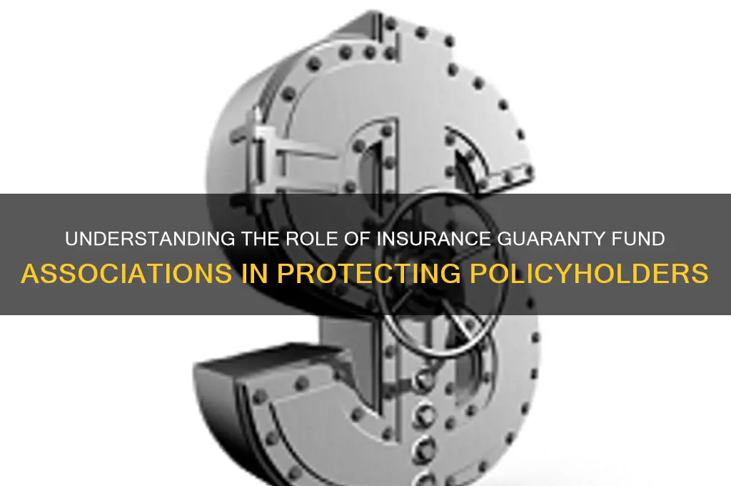 what is the purpose of the insurance guaranty fund association