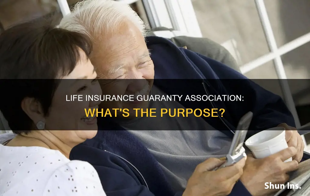 what is the purpose of the life insurance guaranty association