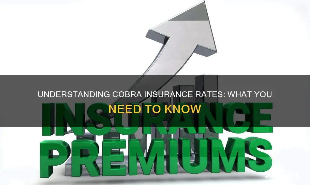 what is the rate for cobra insurance
