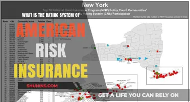 Risk Rating System: How American Insurance Companies Assess Risks