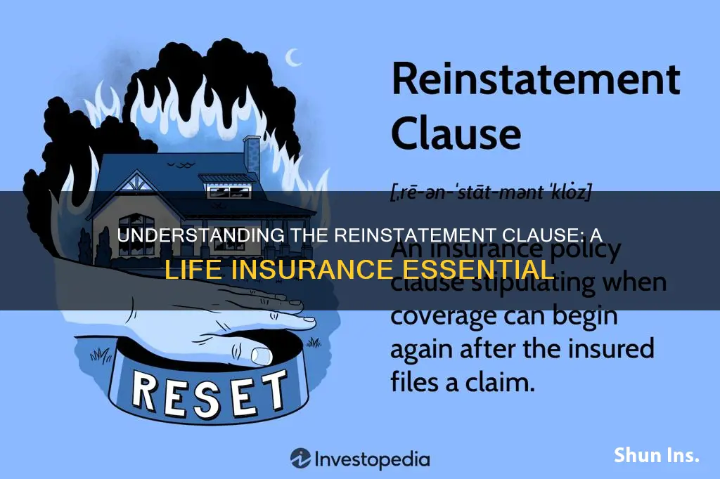 what is the reinstatement provision in life insurance